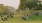 a group of people in a park