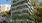 a building with windows and trees